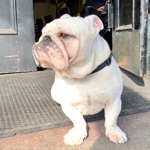 Meet your Posher, Sean